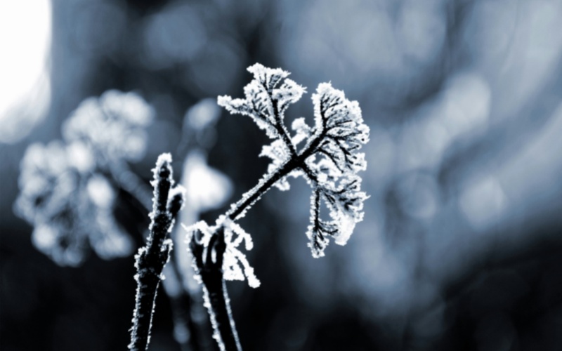 【莱沃医疗：知识分享】霜降不伤颜！鼻炎朋友们也能精致过秋冬了！