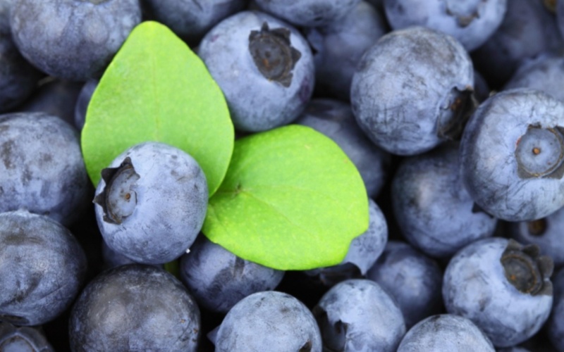 【莱沃医疗：知识分享】长痘别再瞎忌口了，找对元凶才管用