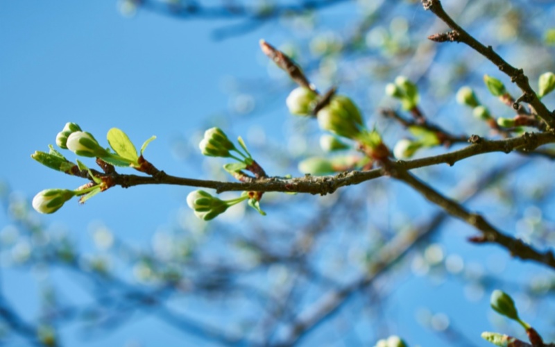 【莱沃医疗：知识分享】冷知识：惊蛰不响雷，但你的鼻子会“打雷”