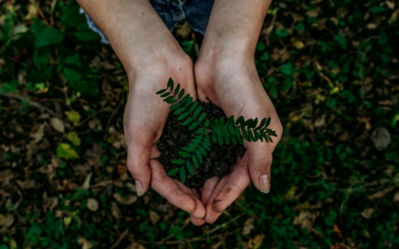 【莱沃医疗：知识分享】植树节：皮肤上的“疤”，也该趁着春天“种”好了